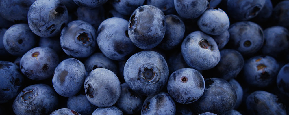 Eine Nahaufnahme von frischen Heidelbeeren auf einem dunklen Hintergrund.