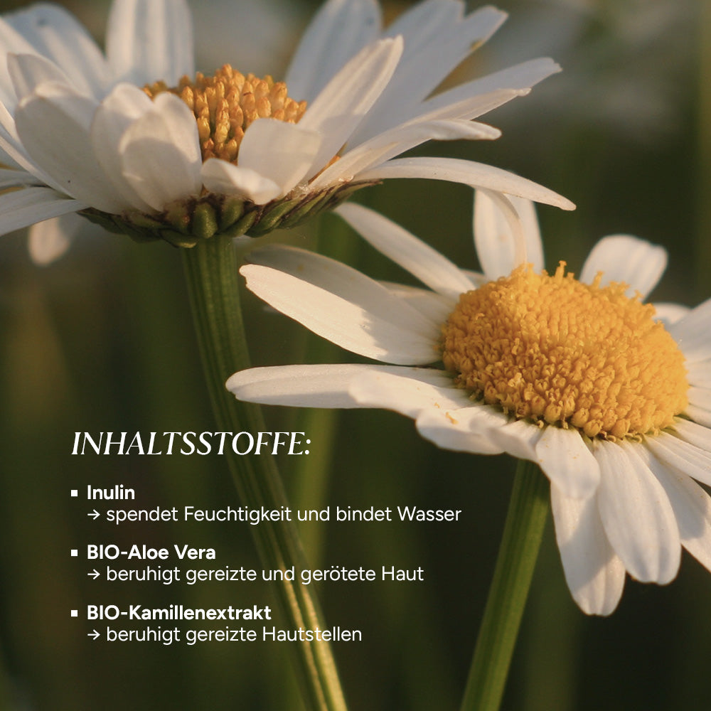 Braunglasflasche mit Reinigungsgel, umgeben von weißen Gänseblümchen. Inhaltsstoffe: Inulin, BIO-Aloe Vera,